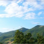 Windmills on my mind